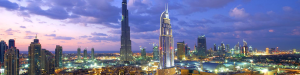 EER | Relocation, Immigration & Company Incorporation Services in the Middle East